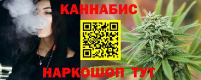 крисы Будённовск