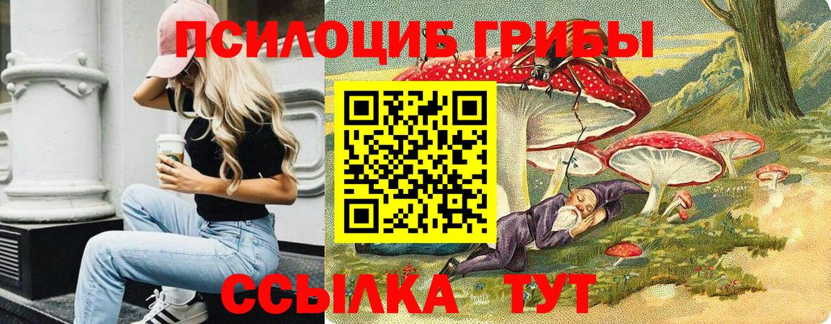 Юрга  Псилоцибиновые грибы Psilocybe  Вход с VPN  Галлюциногенные грибы прущие грибы 
